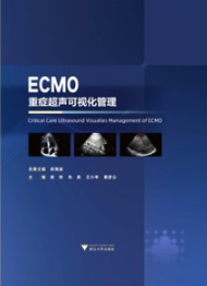 ECMO 重症超声可视化管理