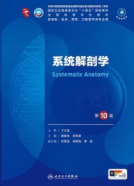 系统解剖学 第10版_本科临床第十轮教材