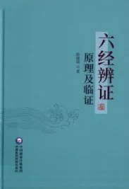 六经辨证原理及临证