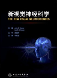 新视觉神经科学