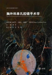 胸外科单孔腔镜手术学