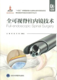 全可视脊柱内镜技术