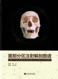 面部分区注射解剖图谱