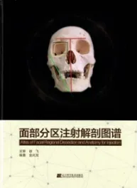 面部分区注射解剖图谱