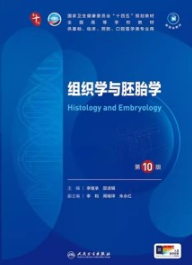 组织学与胚胎学 第10版 本科临床第十轮教材