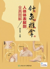 针灸推拿人体体表解剖全真图解