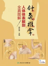 针灸推拿人体体表解剖全真图解
