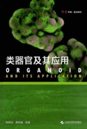 类器官及其应用