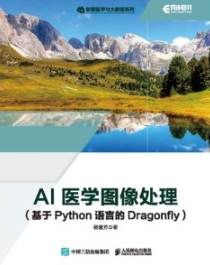AI医学图像处理 基于Python语言的Dragonfly