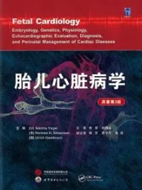 胎儿心脏病学 原著第3版