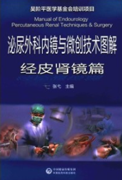 泌尿外科内镜与微创技术图解 经皮肾镜篇