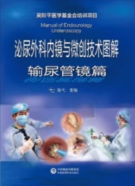 泌尿外科内镜与微创技术图解 输尿管镜篇