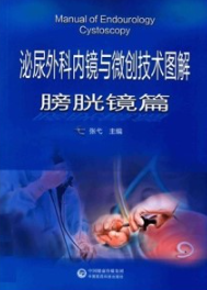泌尿外科内镜与微创技术图解 膀胱镜篇