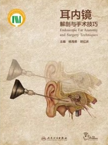 耳内镜解剖与手术技巧