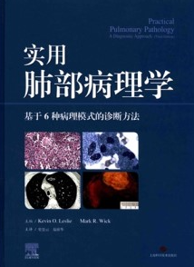 实用肺部病理学 基于6种病理模式的诊断方法