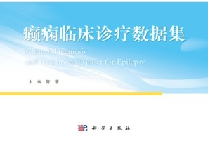 癫痫临床诊疗数据集