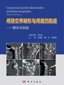 颅颈交界畸形与颅底凹陷症 理论与实践