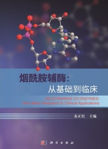 烟酰胺辅酶 从基础到临床