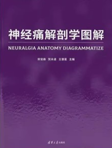 神经痛解剖学图解