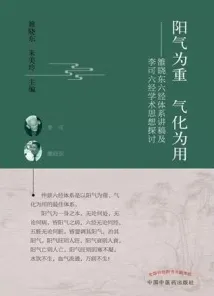 阳气为重 气化为用 雒晓东六经体系讲稿及李可六经学术思想探讨