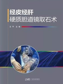 经皮经肝硬质胆道镜取石术