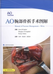 AO腕部骨折手术图解