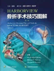 HARBORVIEW骨折手术技巧图解（第二版）