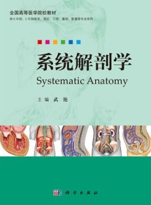 系统解剖学