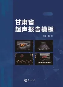 甘肃省超声报告模板