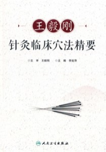 王毅刚针灸临床穴法精要