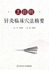 王毅刚针灸临床穴法精要