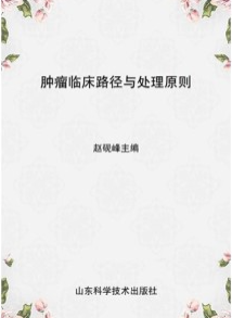 肿瘤临床路径与处理原则 上下册