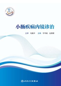 小肠疾病内镜诊治