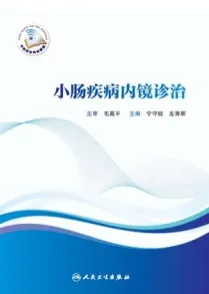 小肠疾病内镜诊治