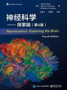 神经科学 探索脑（第4版）
