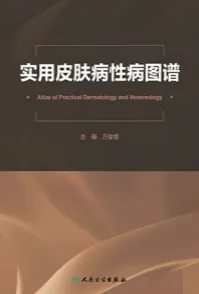 实用皮肤病性病图谱