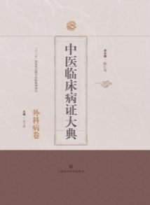 中医临床病证大典 外科病卷