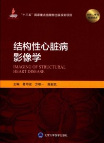 结构性心脏病影像学