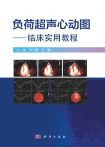 负荷超声心动图 临床实用教程