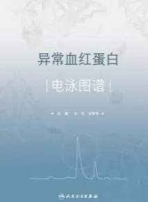 异常血红蛋白电泳图谱