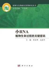 小RNA 植物生命过程的关键密码