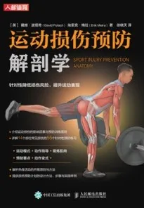 运动损伤预防解剖学