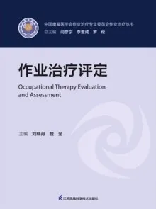 作业治疗评定