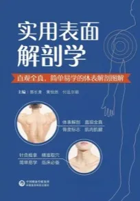 实用表面解剖学