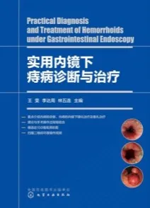 实用内镜下痔病诊断与治疗