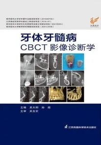 牙体牙髓病CBCT影像诊断学