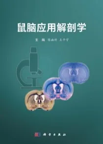 鼠脑应用解剖学