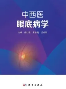 中西医眼底病学