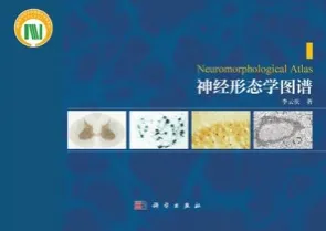 神经形态学图谱