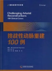 挑战性动脉重建100例